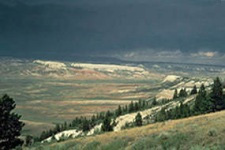 A distant view of the mountains and trees